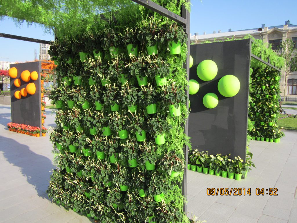 corona, 1,5 meter, groene wand, eco wand